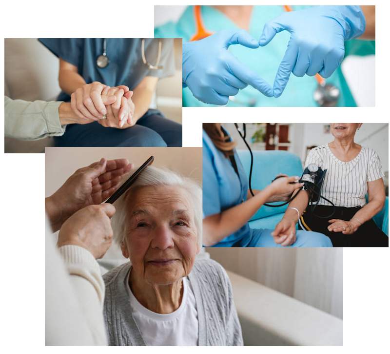 perfusion a domicile capbreton